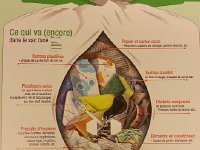 bag contents  Love this graphic with the Montreux logos in the bottom